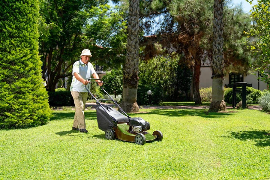 buy lawn mowers