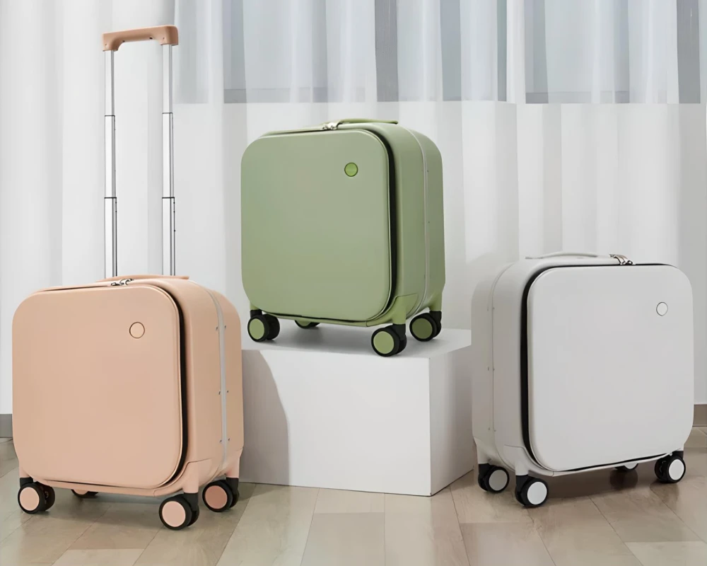 small cute suitcase
